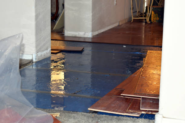 Professional Flood Damage Restoration technician working in Vale, OR